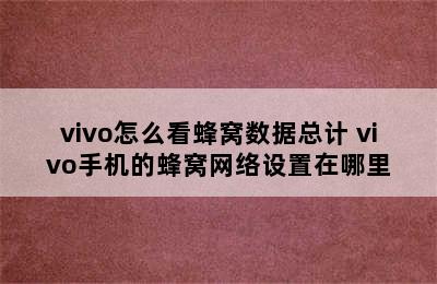 vivo怎么看蜂窝数据总计 vivo手机的蜂窝网络设置在哪里